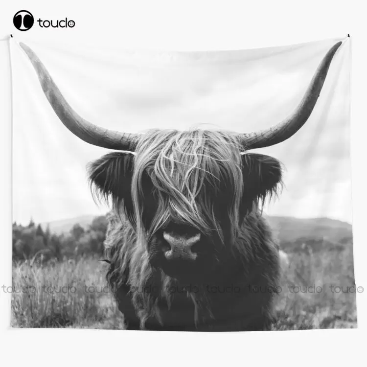 Photography Online - Sapi Dataran Tinggi Skotlandia - Permadani
