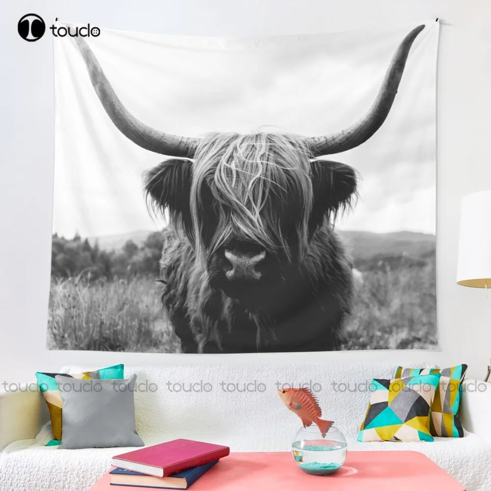 Sapi Dataran Tinggi Skotlandia - Photography Online ulasan dan harga