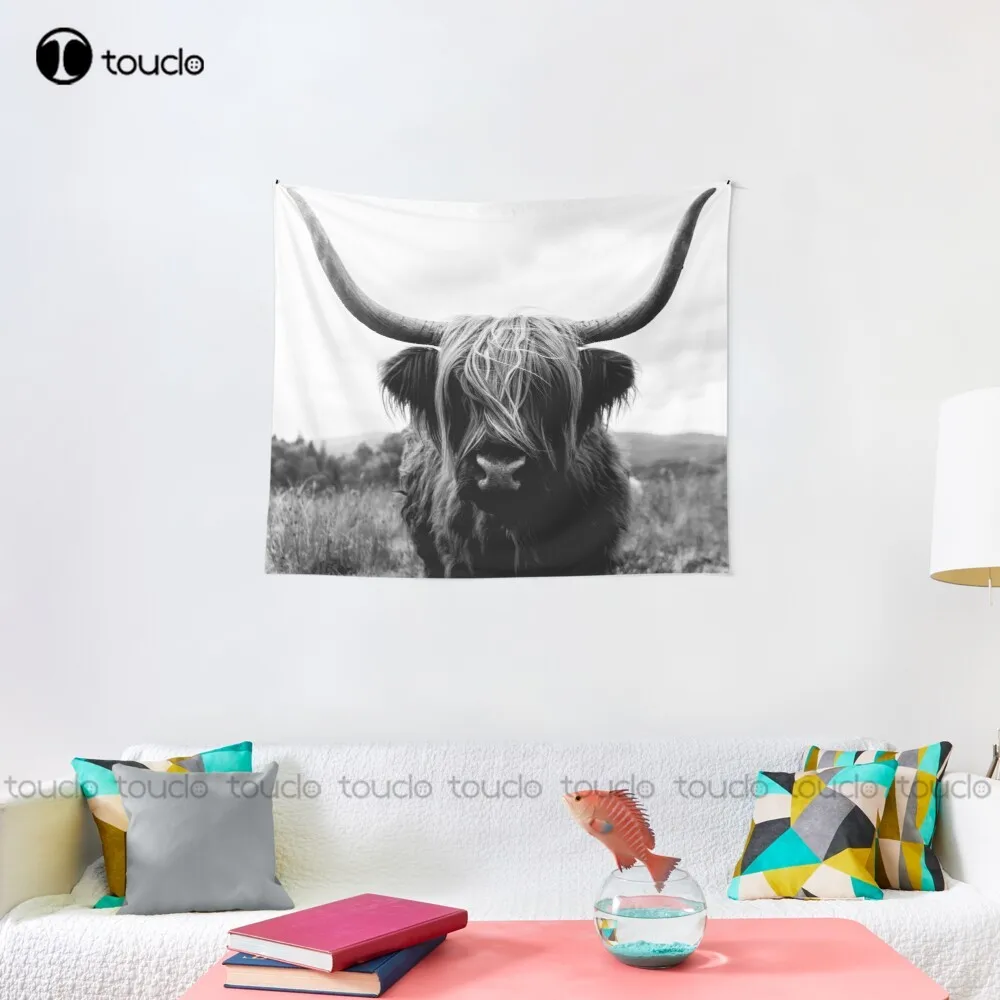 Sapi Dataran Tinggi Skotlandia - Photography Online ulasan dan harga